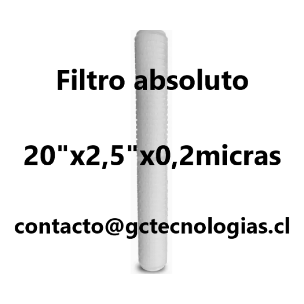 Filtro absoluto 20ing x 02mic