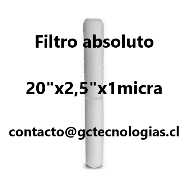 Filtro absoluto 20ing x 045mic